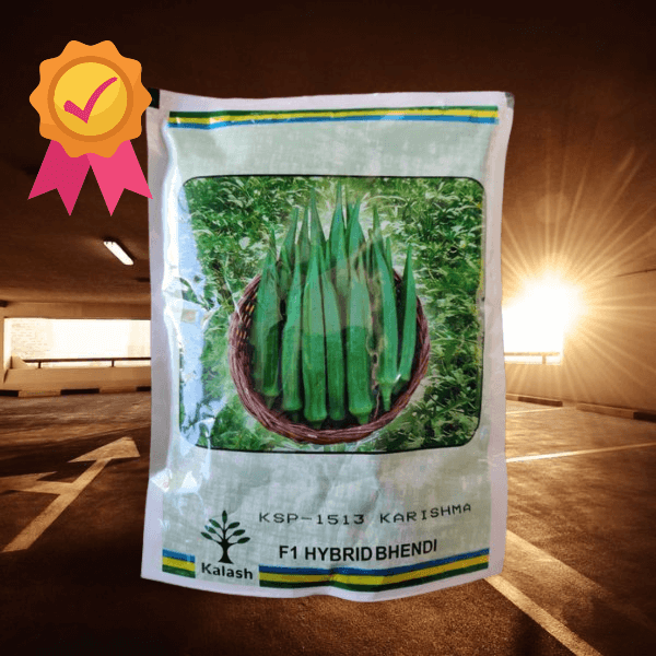 kalash seeds bhindi ksp 1513