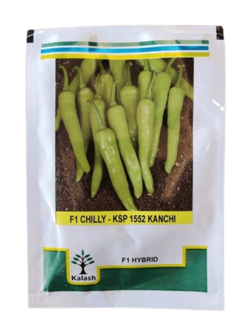 ksp 1552 kanchi mirch ka beej |Beejmart.com