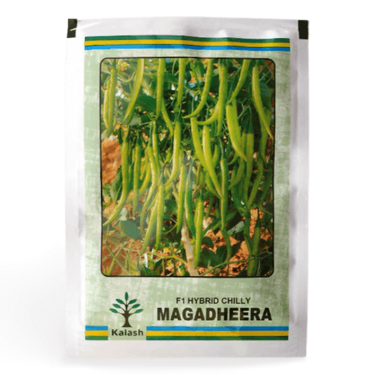 ksp 1354 magadheera chilli seeds | Beejmart.com