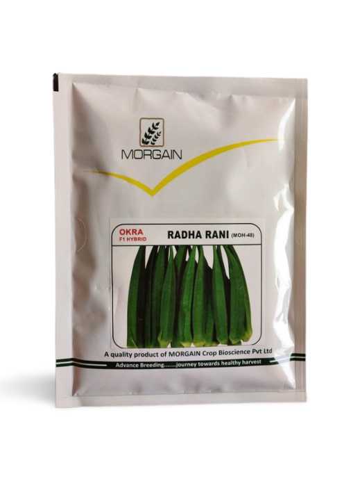 morgain hybrid okra radha rani