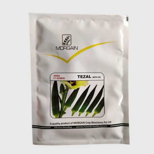 morgain okra tezal hybrid bhindi