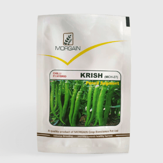 Morgan Krish Chilli Seeds