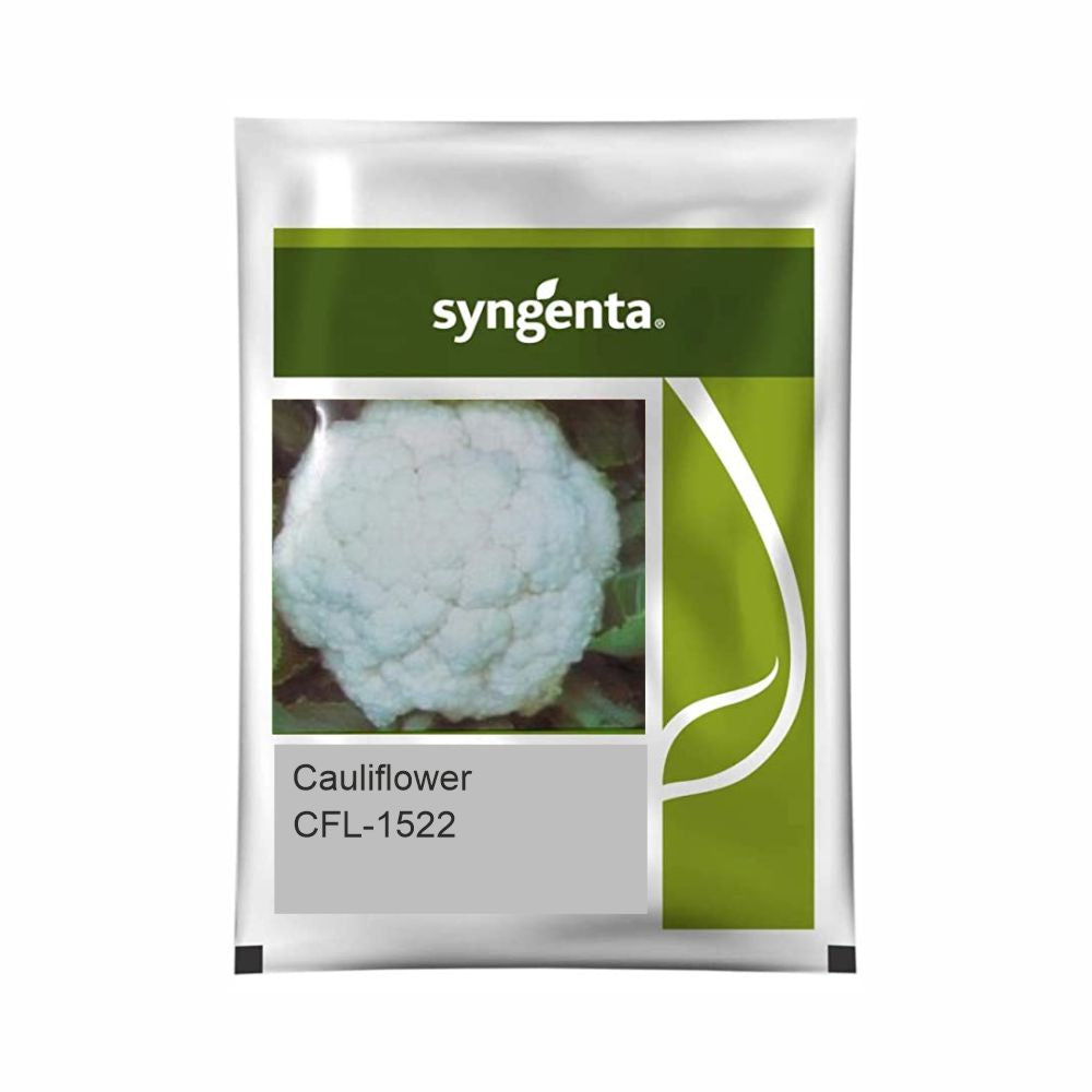 CFL 1522 Cauliflower Seeds | Syngenta | Beejmart