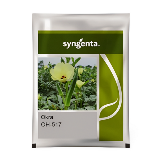 Buy Syngenta okra oh 517 Seeds online 