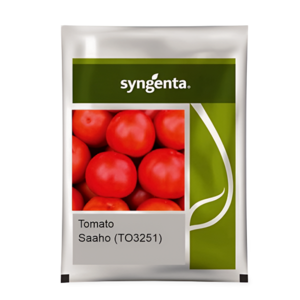 Buy Syngenta Tomato Saaho 3251 online at beejmart.com