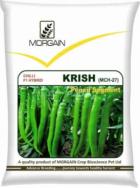 Morgan Krish chilli seeds 