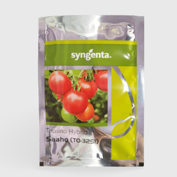 syngenta saaho 3251 tomato seeds