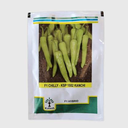 Kalash seeds ksp 1552 chilli | Beejmart.com