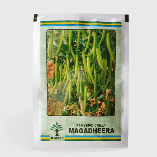 Kalash Magadheera chilli seeds | Beejmart.com