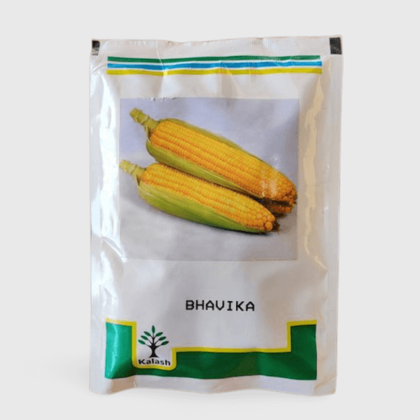 Kalash Sweet corn bhavika ksp 1190