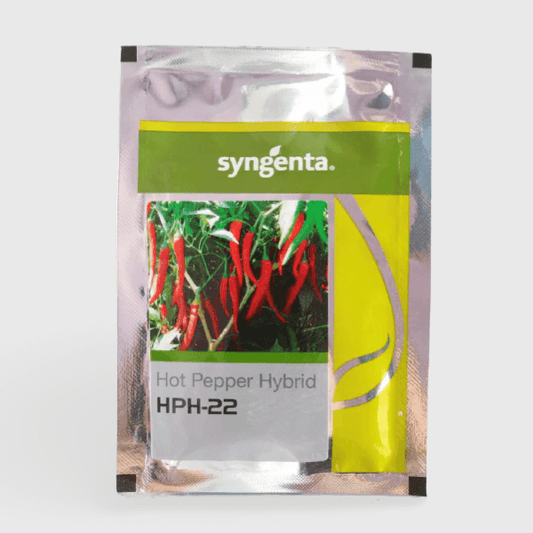 syngenta hph 22 chilli seeds