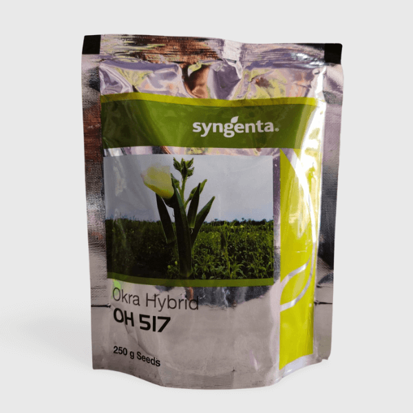 Syngenta Hybrid okra oh 517 Seeds