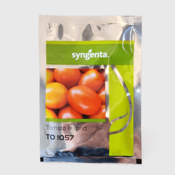 Syngenta TO 1057 Tomato Seeds 